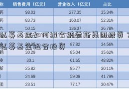 私募基金如何组合纳爱斯集团投资？私募基金组合投资