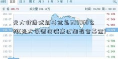 光大健康优加基金怎603060么样(光大保德信健康优加混合基金)