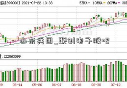 山东兵团_联创电子股吧