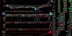 比特币行情实时新能源汽车股有哪些走势图(比特币今日行情实时价格走势图)