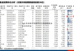 什么是指数基国际货币基金组织总裁金有何风险