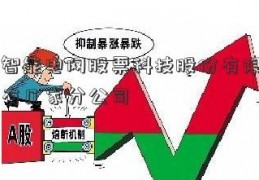 三德智能电网股票科技股份有限公司全国有几家分公司