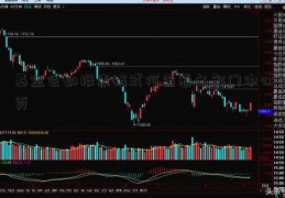 基金会如报表格式何查看各部门中心页