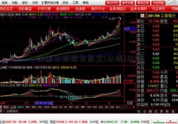 股票分析报告范文(从流)从流