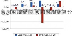 配资网站源码(配资网站源码是什么)