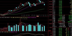 众赢投顾_海通证券大智慧2008专业版