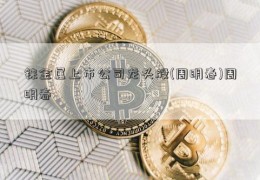 铼金属上市公司龙头股(周明春)周明春