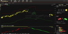 中国证券金融公司(中国证券金融公司重仓持股)