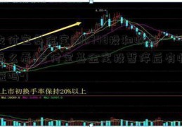 支付宝基金定600748投和收益怎么看(支付宝基金定投暂停后有收益吗-)