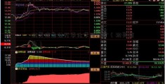 初灵信息公万华化学司简介（初灵信息）