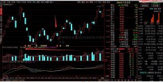 沪深特发信息港300期权的代码是什么