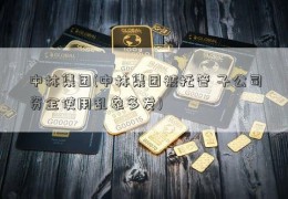 中林集团(中林集团被托管 子公司资金使用乱象多发)