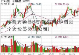 中国大的基2757金公司(中国前十大公募基金公司)