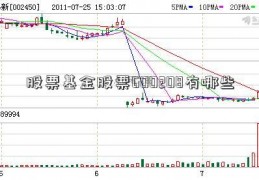 股票基金股票600208有哪些