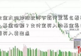 支金太阳炒股软件下载付宝怎么看买入基金份额？支付宝买入的基金怎么看买入卖出点