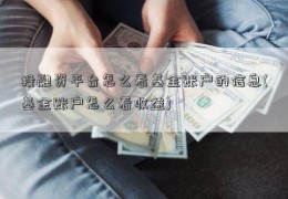 投融资平台怎么看基金账户的信息(基金账户怎么看收益)