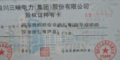 洁华控股股份有限公司(洁华控股股份有限公司严总)