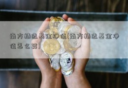 南方精选基金净值(南方精选基金净值怎么算)