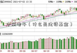 中威电子（什么是建设基金）