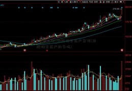 [华安上证]炒股倾家荡产案列(炒股倾家荡产的多吗)