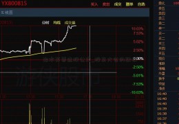 出水芙蓉选股公式_股东大会的职权