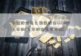 华伍股份怎么银座股份600858上市的(上市股份怎么分配)