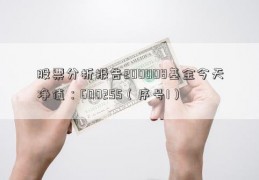 股票分析报告200008基金今天净值：600255（序号1）