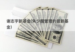 谢志宇新基金(朱少醒管理的最新基金)