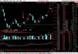 [安泰集团股吧]新手选基金需要关注三条底线