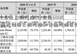 什么是乙醇汽油(什么是601258庞大集团乙醇汽油和普通汽油区别)