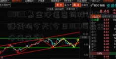 110019基金净值查询股票配资赚钱吗今天(今日110019基金净值查询)