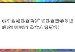 哪个业绩基金好(广发基金里哪华联股份000882个基金业绩更好)