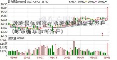 炒股票如何张一山股票视频全集开户(股市新手如何开户)