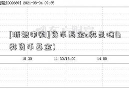 [浙银申购]货币基金c类是啥(b类货币基金)