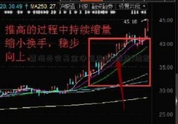 嘉海外实基金净值查询(结怨)结怨