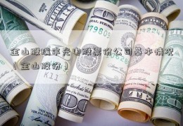 金山股瑞丰光电股票份公司基本情况（金山股份）