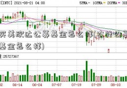 买美欣达公募基金怎么样(农行公募基金怎么样)