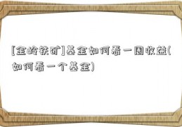 [金岭铁矿]基金如何看一周收益(如何看一个基金)