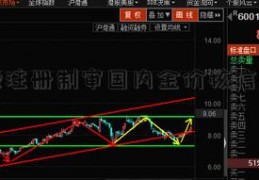 创业板注册制审国内金价核信息公开