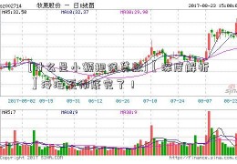 [什么是小额担保贷款]【深度解析】泛海系彻底完了！