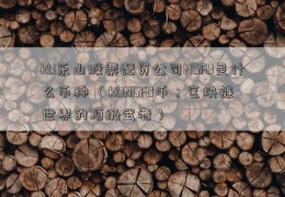 KU乐山股票配资公司NGFU是什么币种 （KUNGFU币：区块链世界的顶级武者）