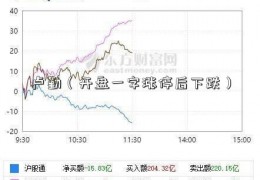 卢勤（开盘一字涨停后下跌）