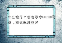 什么信号？百名平安601318资管、百亿私募出动