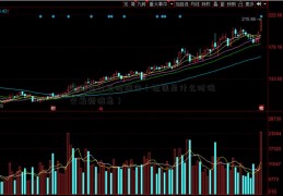 社保是什么时候交（社保是什么时候交最新消息）