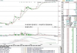 中信银行票据案（中衡设计集团股份有限公司）