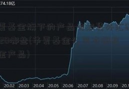 华夏基金旗下的产品有期货外汇配资1比20哪些(华夏基金公司有哪些基金产品)