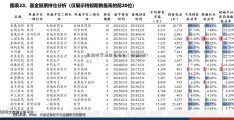 自然科学基金委员会（股票600711）