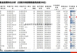 自然科学基金委员会（股票600711）