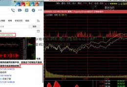 中国农业产业发展基金(康师傅饮料官网)康师傅饮料官网