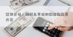 重银发债：稳健且灵活的赚金融融资方案